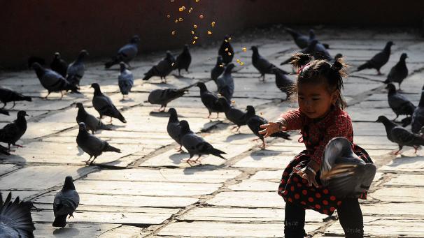 Edition numérique des abonnés