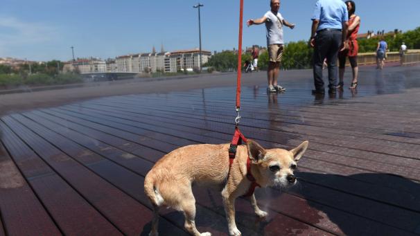 Edition numérique des abonnés