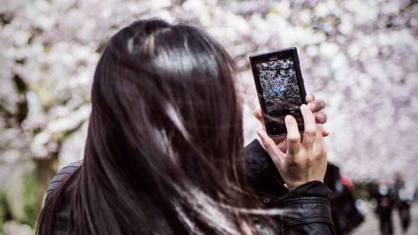 Edition numérique des abonnés