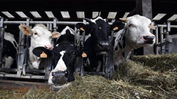 Edition numérique des abonnés