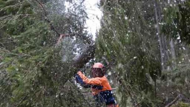 Edition numérique des abonnés