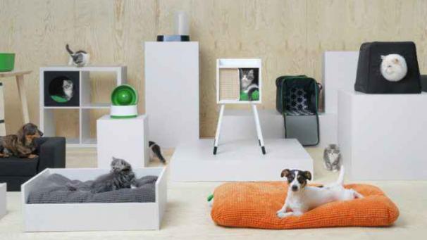 Edition numérique des abonnés