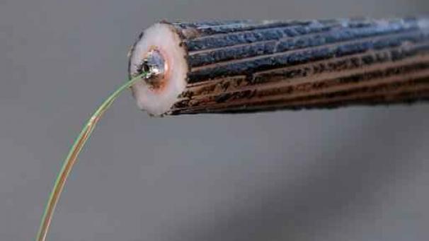 Edition numérique des abonnés