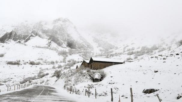 Edition numérique des abonnés