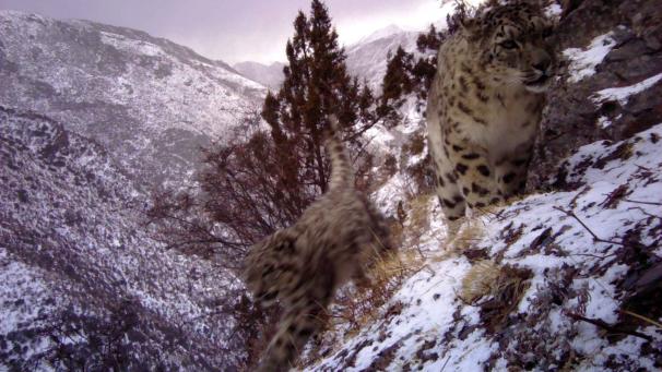 Edition numérique des abonnés