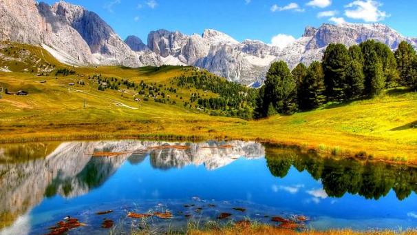 Edition numérique des abonnés