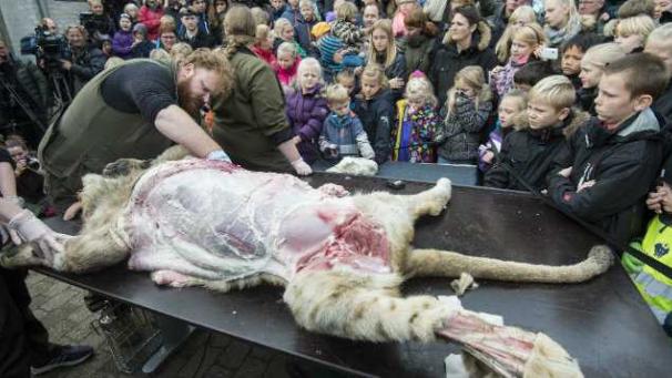 Edition numérique des abonnés