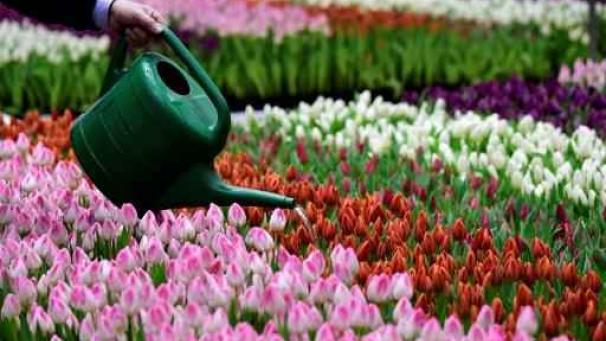 Edition numérique des abonnés