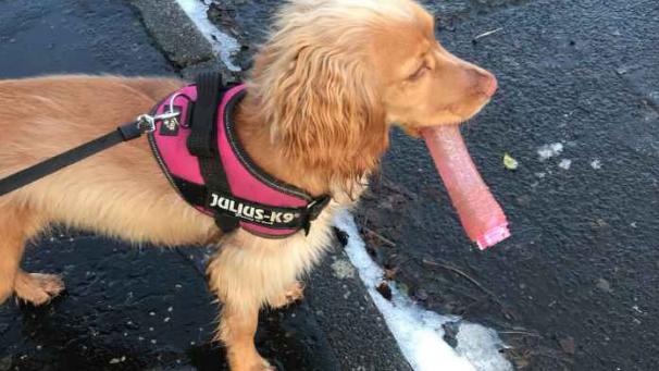 Edition numérique des abonnés