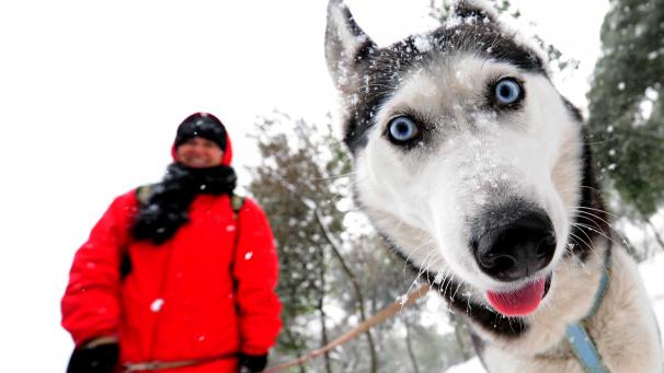 Edition numérique des abonnés
