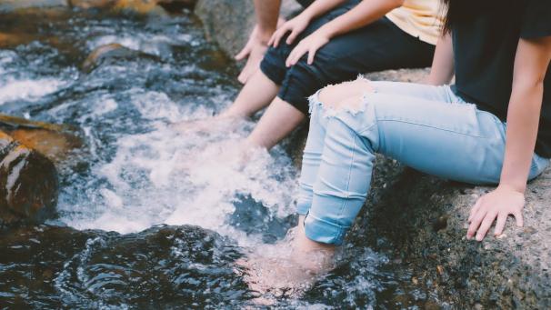 Edition numérique des abonnés