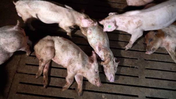 Edition numérique des abonnés