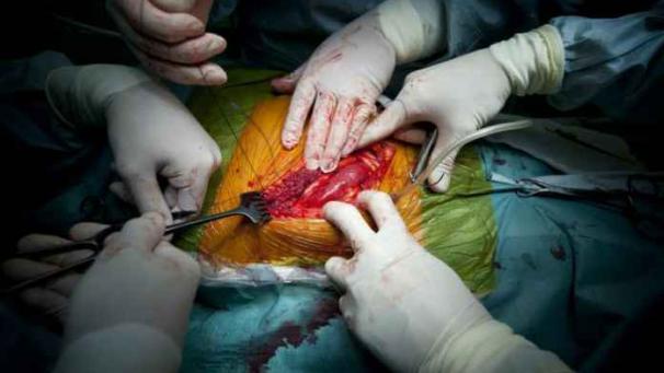 Edition numérique des abonnés