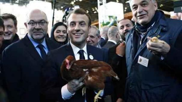 Edition numérique des abonnés