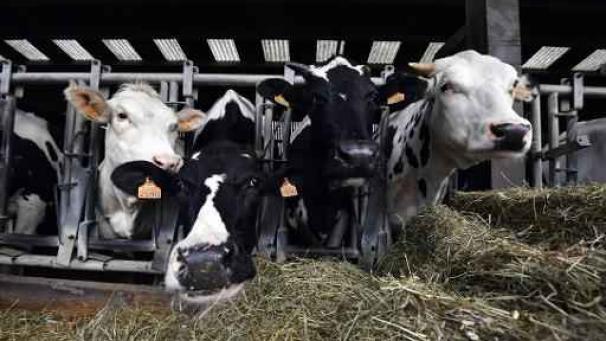 Edition numérique des abonnés