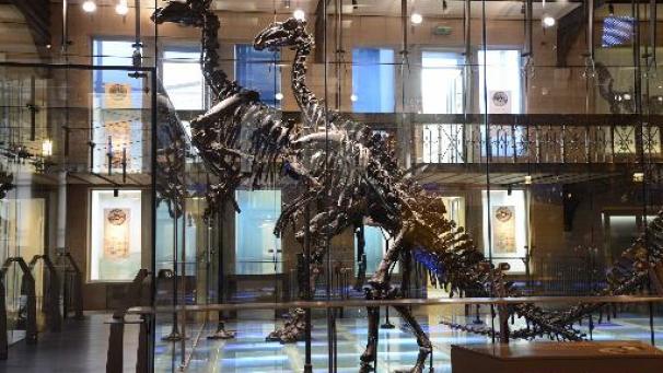 Edition numérique des abonnés