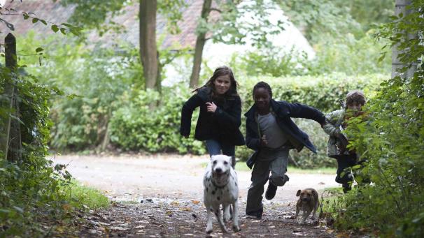 Edition numérique des abonnés