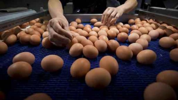 Edition numérique des abonnés