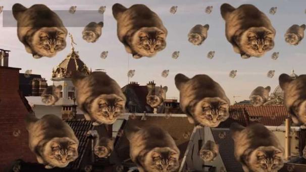 Edition numérique des abonnés