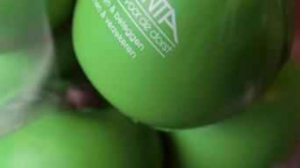 Edition numérique des abonnés