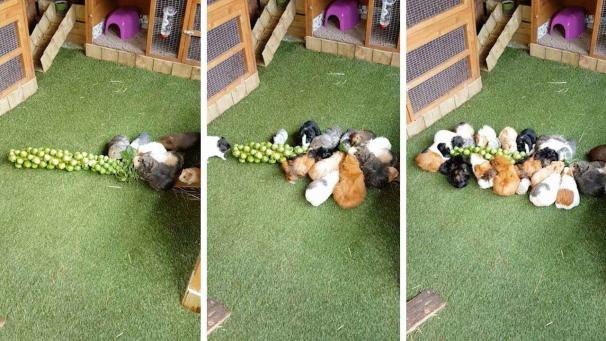 Edition numérique des abonnés