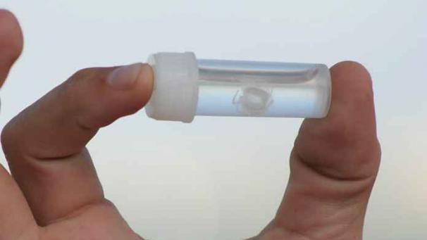 Edition numérique des abonnés