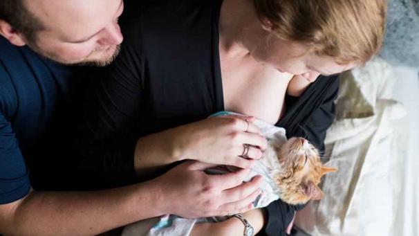 Edition numérique des abonnés