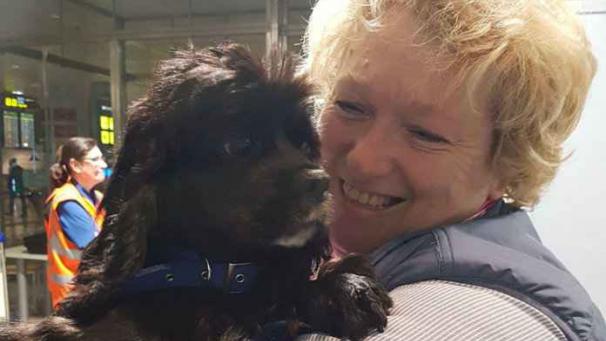 Edition numérique des abonnés