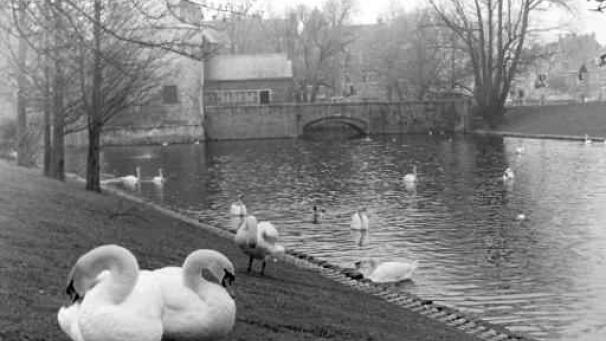 Edition numérique des abonnés