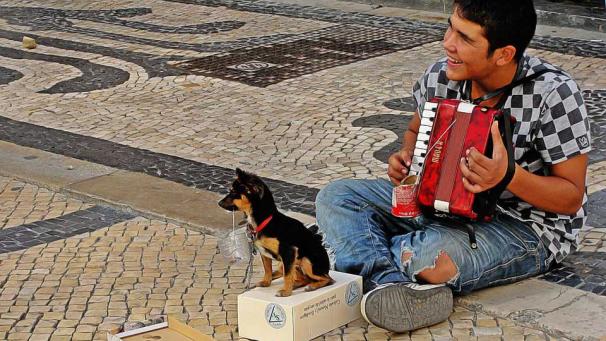 Edition numérique des abonnés