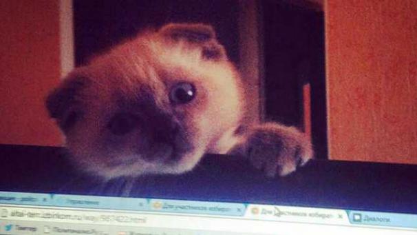 Edition numérique des abonnés