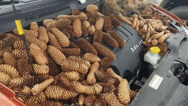 Edition numérique des abonnés