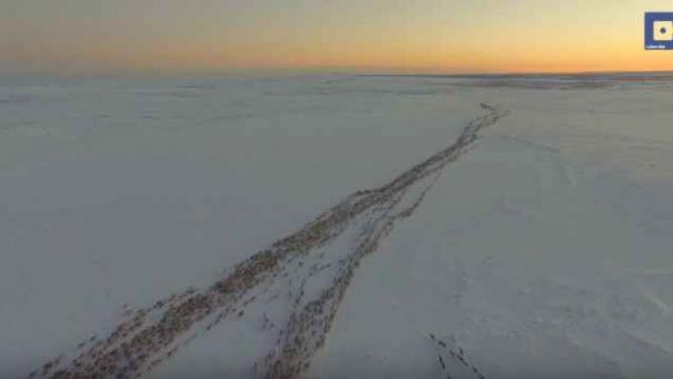 Edition numérique des abonnés