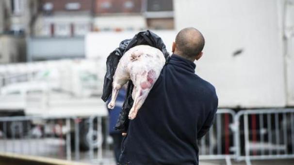 Edition numérique des abonnés