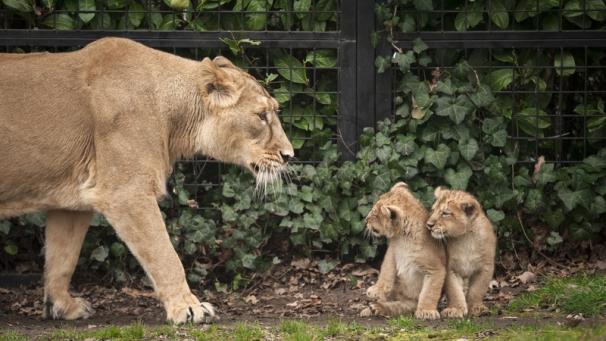 Edition numérique des abonnés
