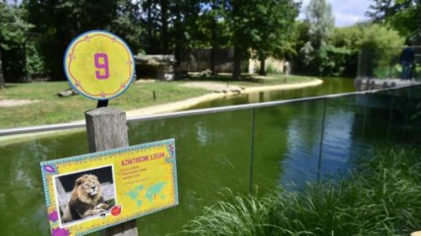 Edition numérique des abonnés