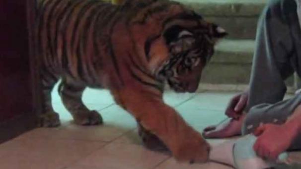 Edition numérique des abonnés