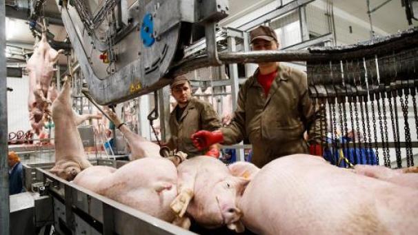 Edition numérique des abonnés