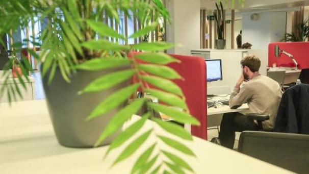 Edition numérique des abonnés