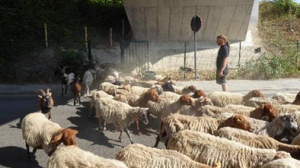 Edition numérique des abonnés