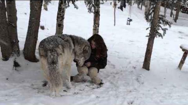 Edition numérique des abonnés