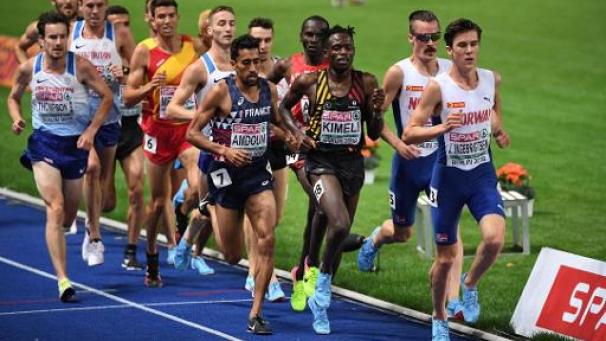 Edition numérique des abonnés