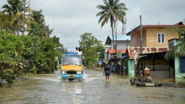 Edition numérique des abonnés