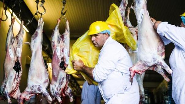 Edition numérique des abonnés