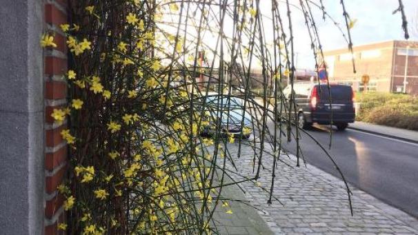 Edition numérique des abonnés