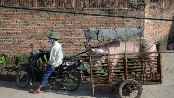 Edition numérique des abonnés