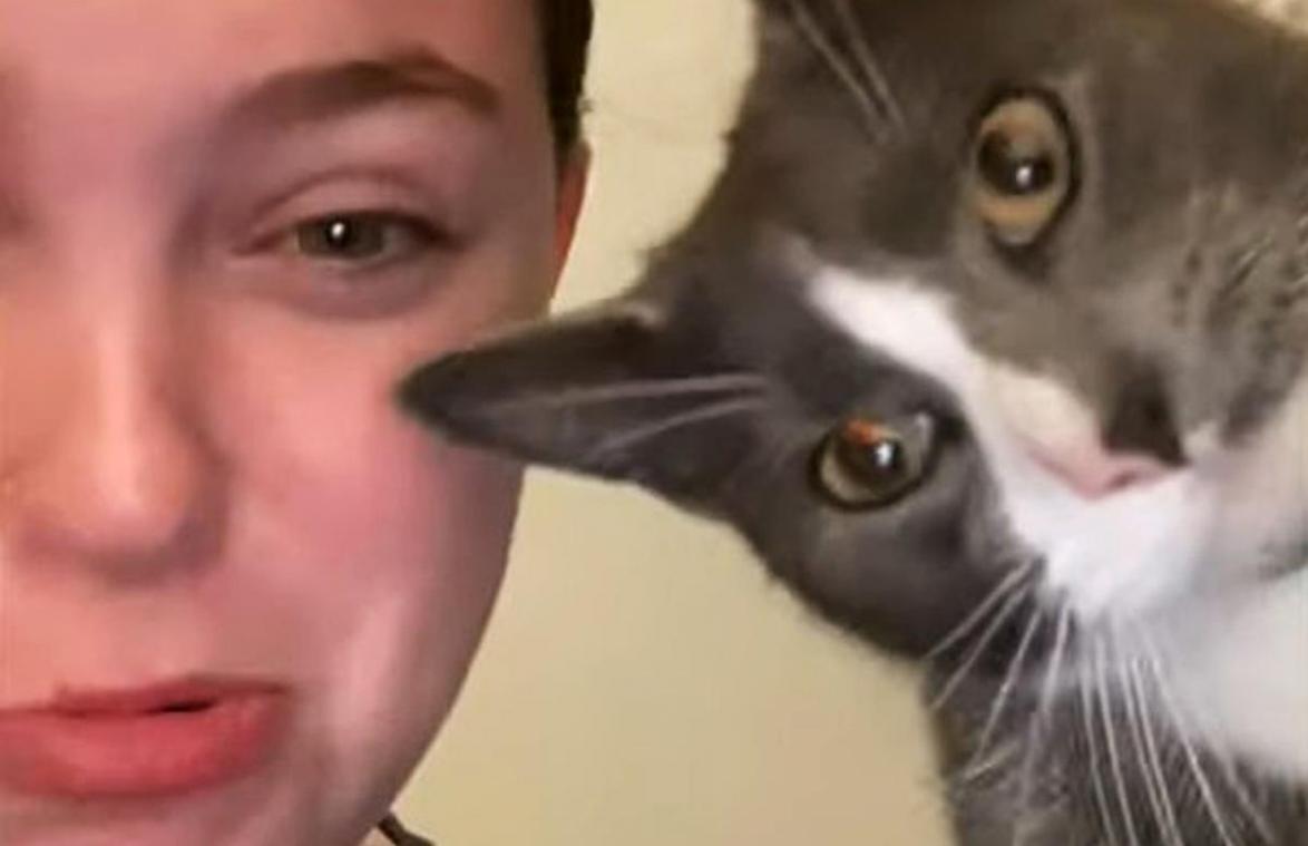Baasje doet kat na, maar die kan daar absoluut NIET mee lachen (video)