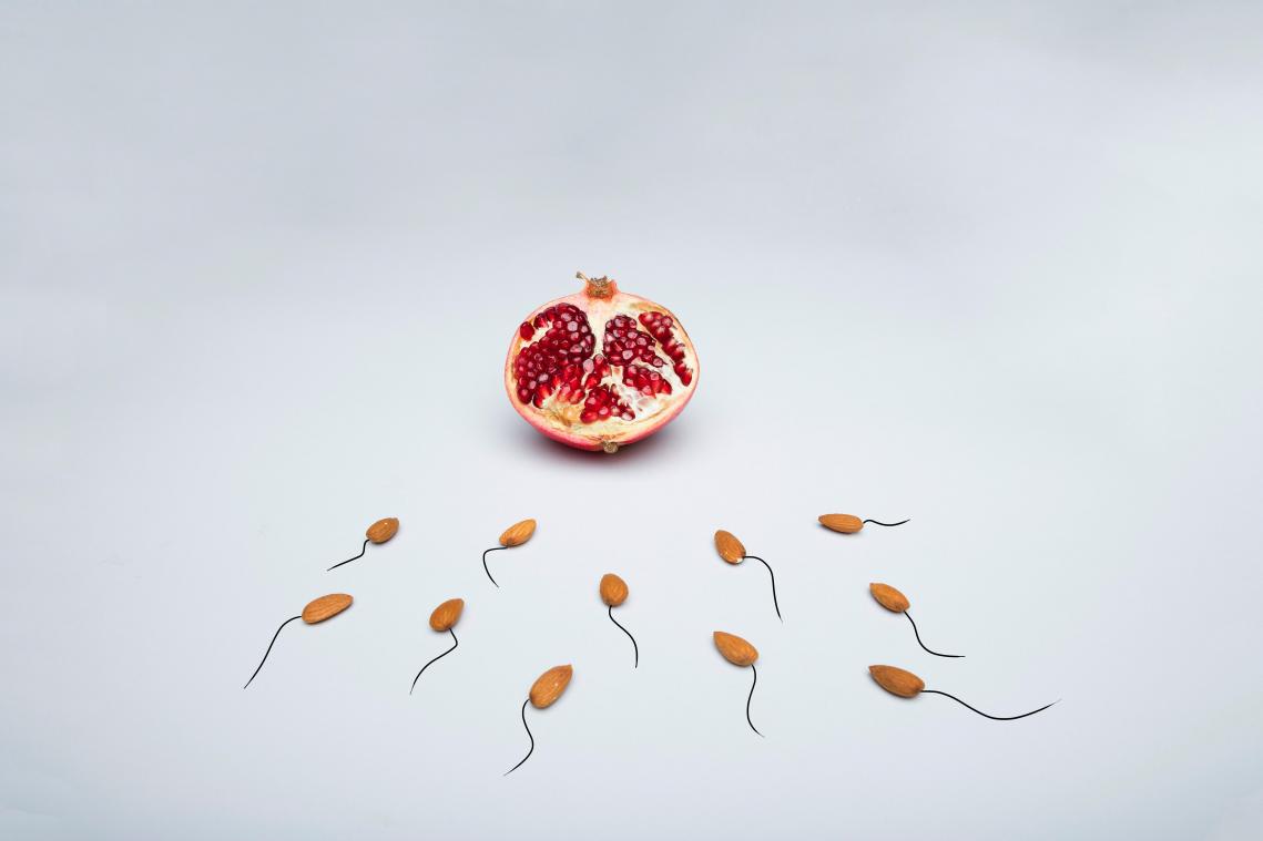 Na de coronacrisis, een vruchtbaarheidscrisis? Mannen hebben helft minder sperma dan hun opa