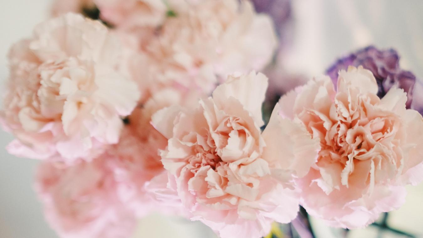 Zes tips om langer van je snijbloemen te genieten