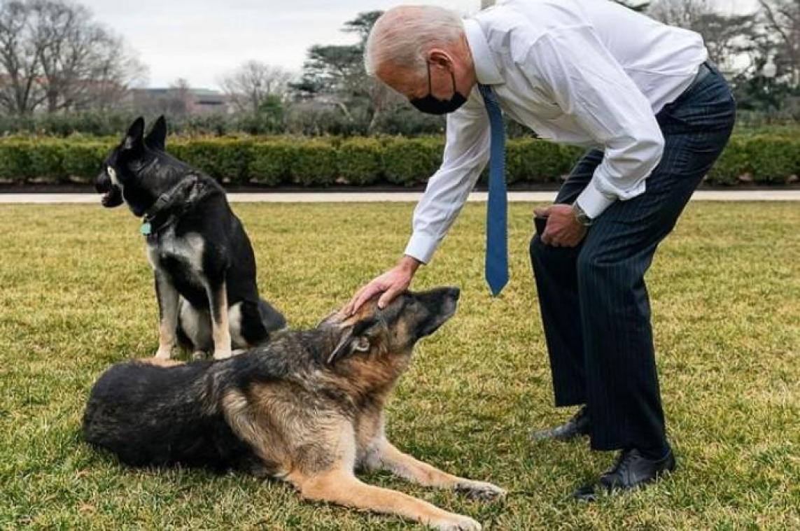 President Biden moet onverwacht afscheid nemen van hondje Champ